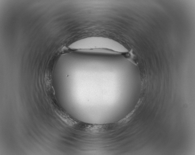 X0000078010186200611251513