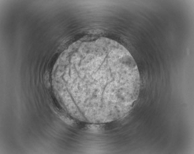 X0000078010187200611251513