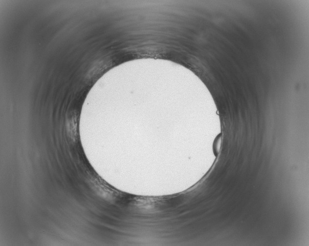X0000078010190200611251513