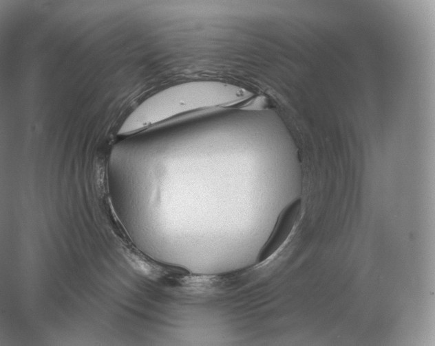 X0000078010192200611251513