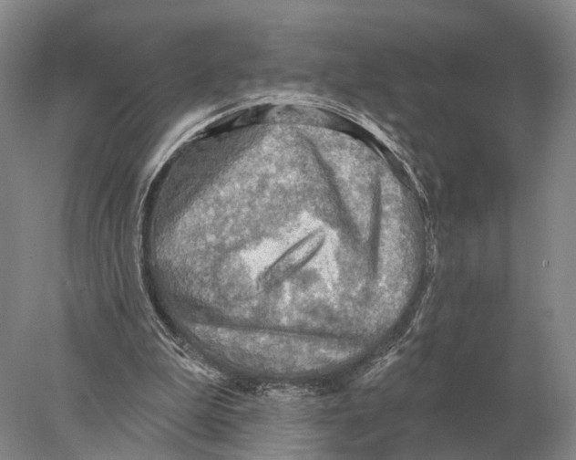 X0000078010199200611251512