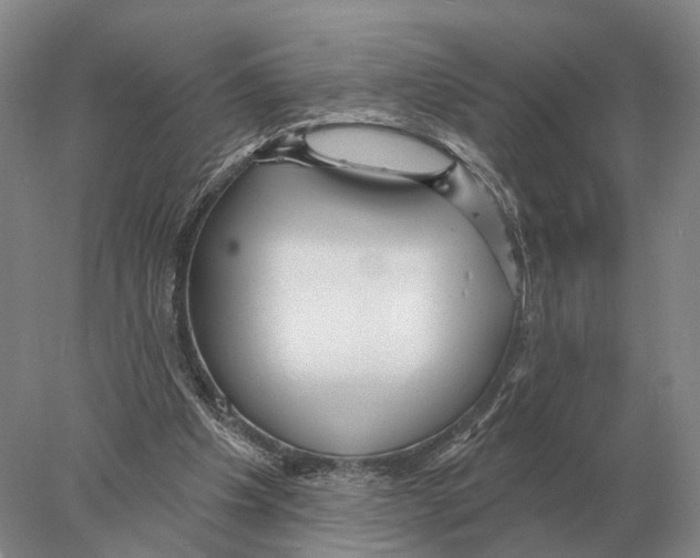 X0000078010201200611251512
