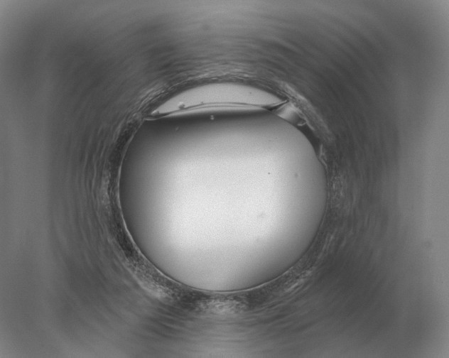 X0000078010209200611251512