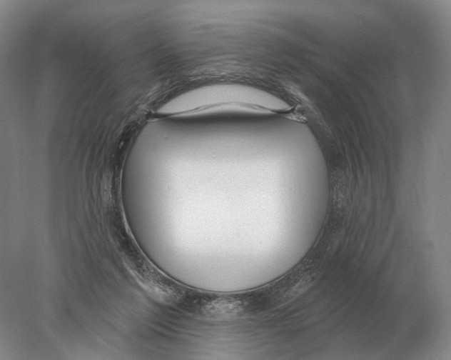 X0000078010213200611251511