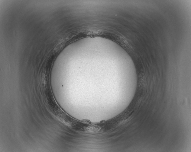 X0000078010215200611251511