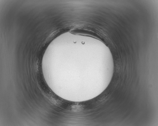 X0000078010216200611251511