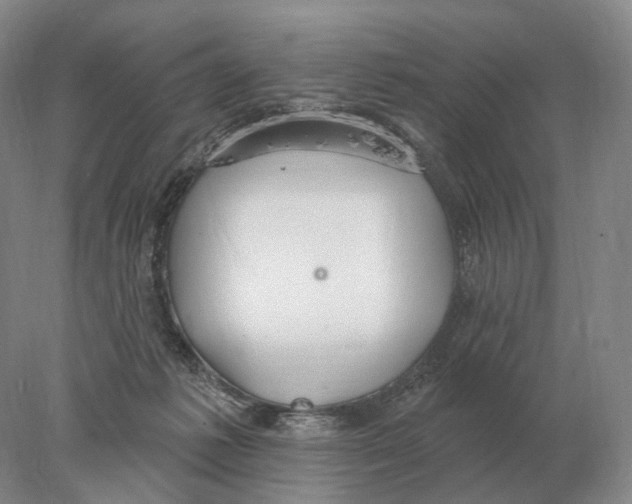 X0000078010221200611251511
