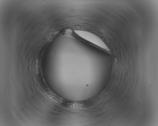 X0000078010223200611251511