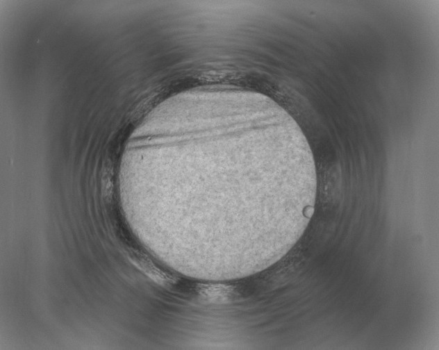 X0000078010226200611251511