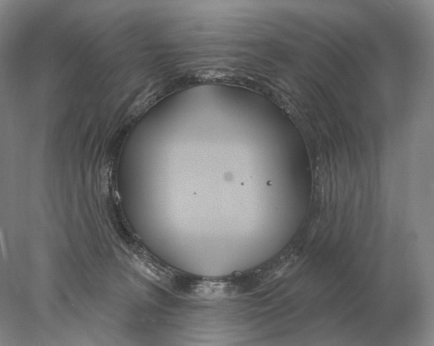 X0000078010227200611251511