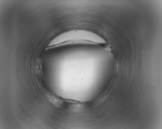 X0000078010237200611251511