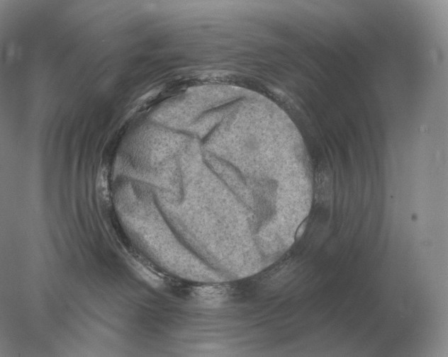 X0000078010238200611251511