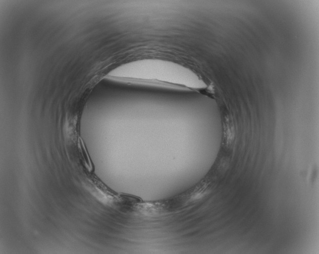 X0000078010239200611251511
