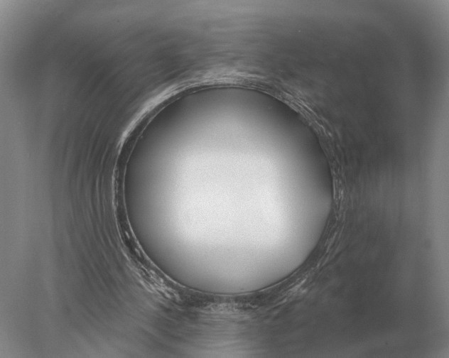 X0000078010244200611251510