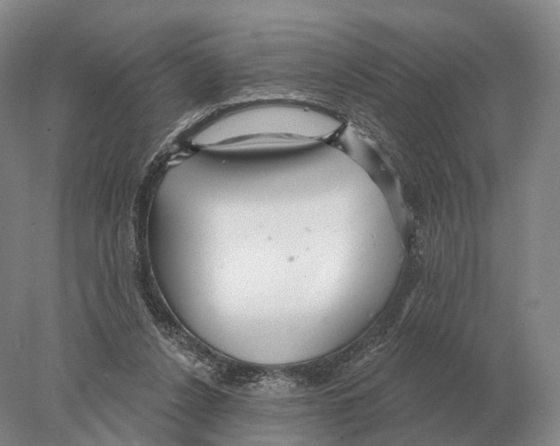 X0000078010256200611251510