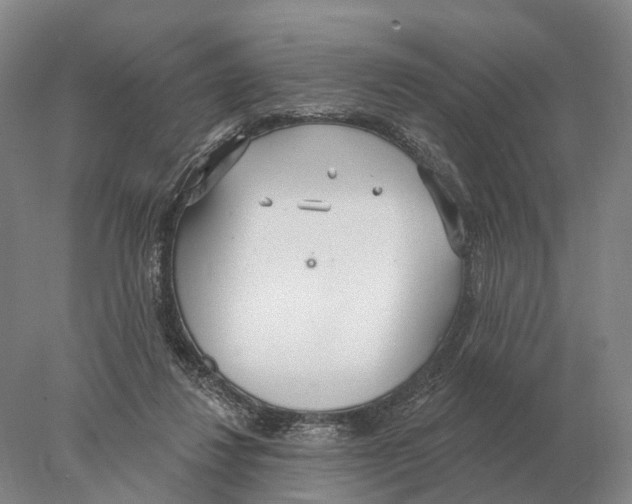 X0000078010260200611251511