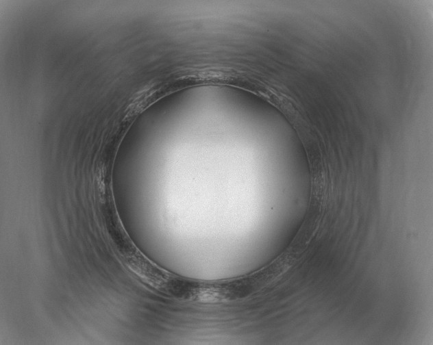 X0000078010264200611251511