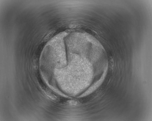 X0000078010272200611251511