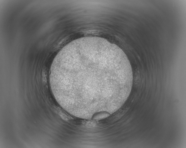 X0000078010282200611251511