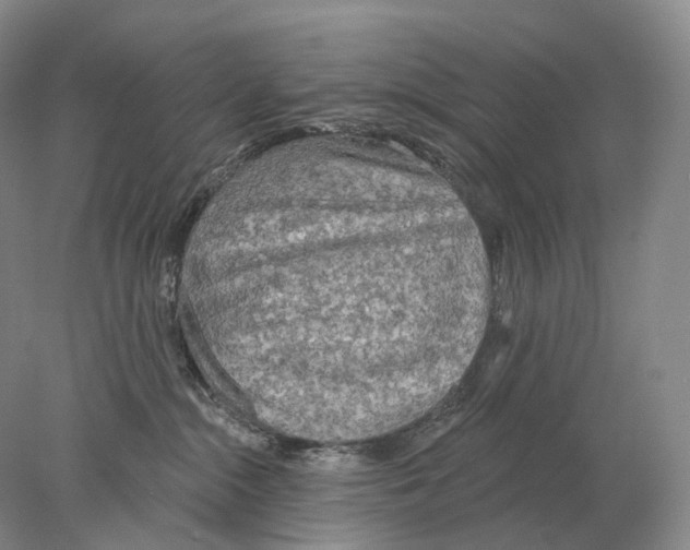 X0000078010284200611251511