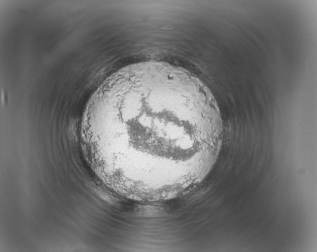 X0000078010286200611251511