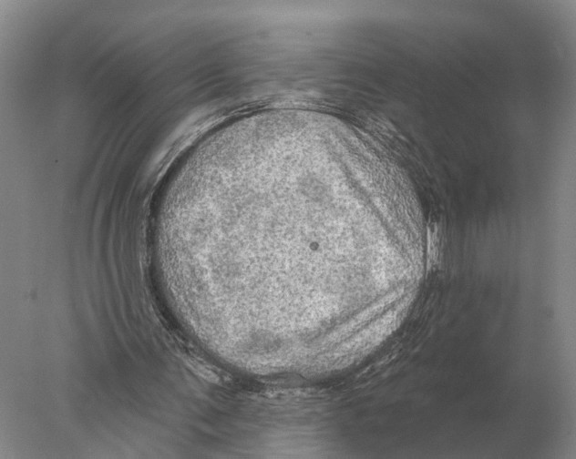 X0000078010291200611251510