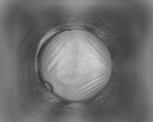 X0000078010294200611251510