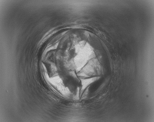 X0000078010295200611251510