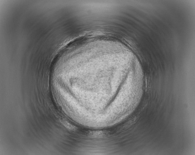 X0000078010301200611251510