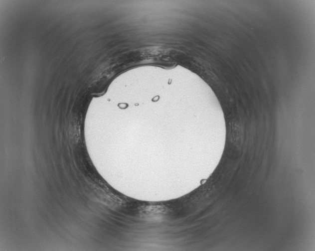 X0000078010324200611251510