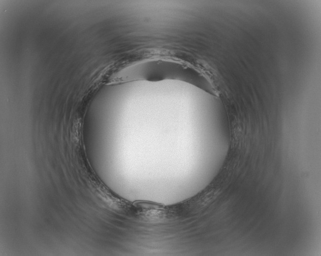 X0000078010325200611251510