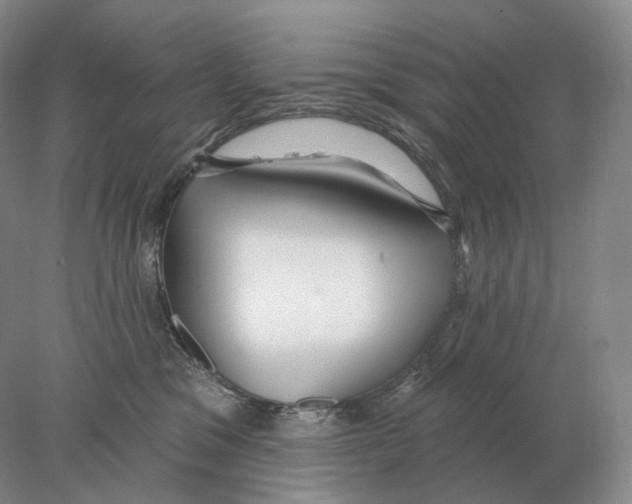 X0000078010329200611251509