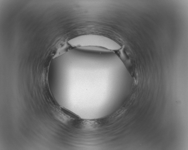 X0000078010333200611251509