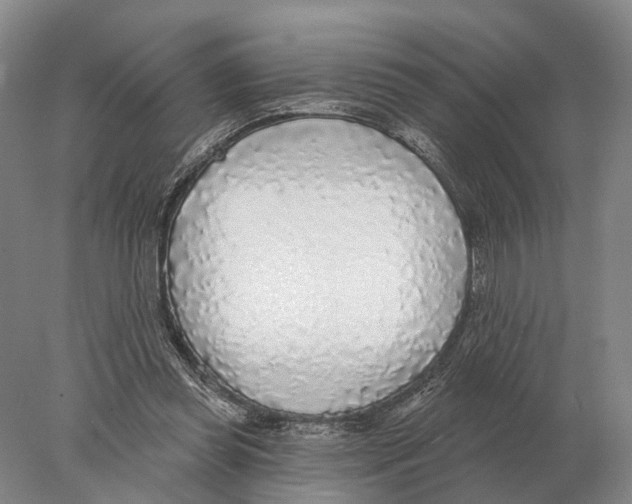 X0000078010349200611251509