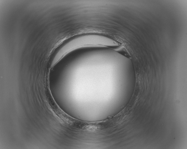 X0000078010352200611251509