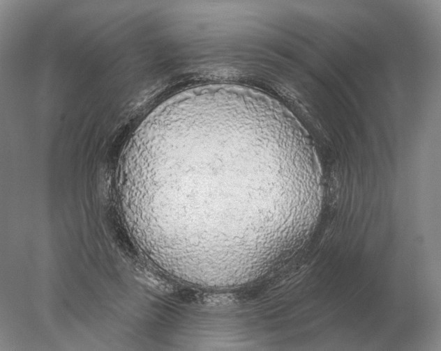 X0000078010355200611251509