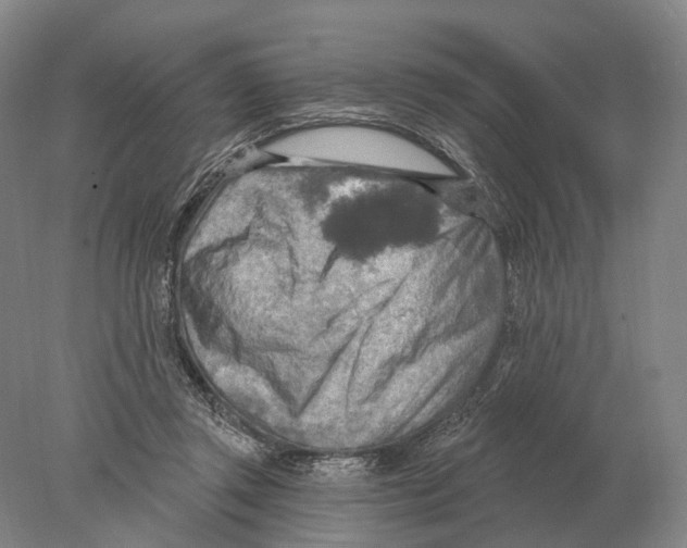X0000078010357200611251509