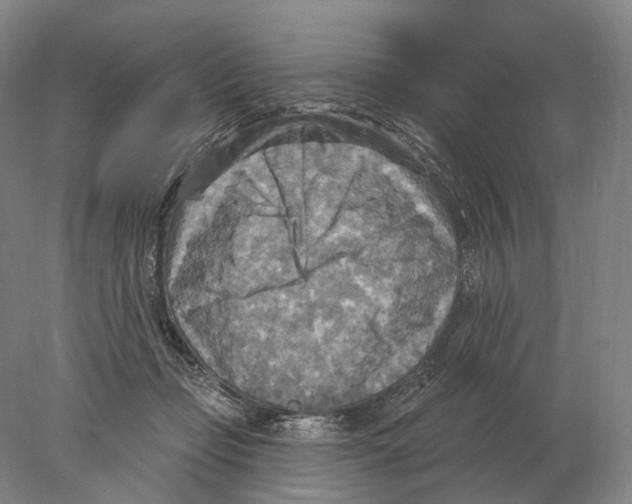 X0000078010365200611251509