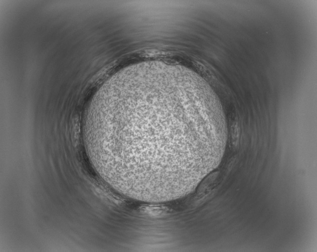 X0000078010372200611251509