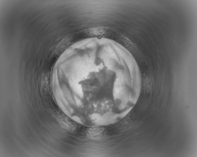 X0000078010373200611251509