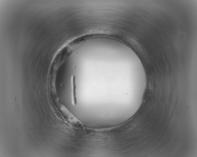 X0000078010388200611251508