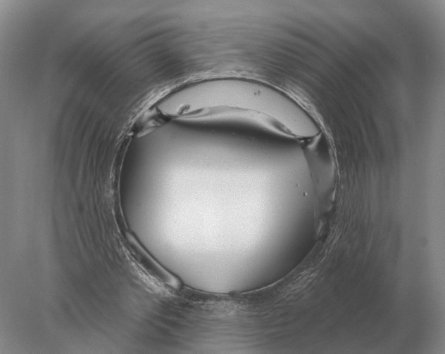 X0000078010389200611251508