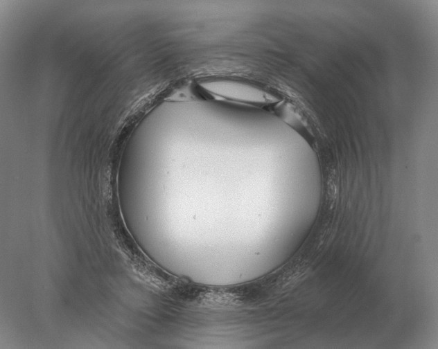 X0000078010403200611251508