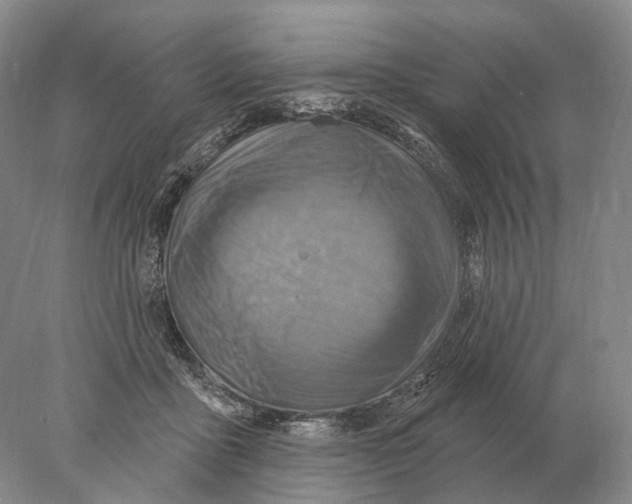 X0000078010411200611251508