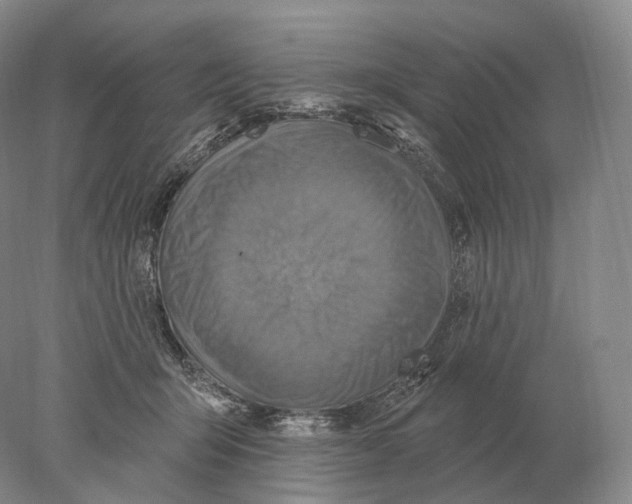 X0000078010415200611251508