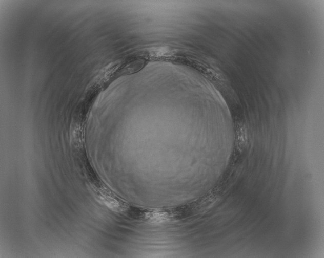 X0000078010419200611251508