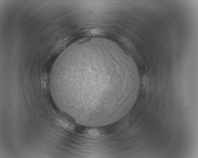 X0000078010423200611251508