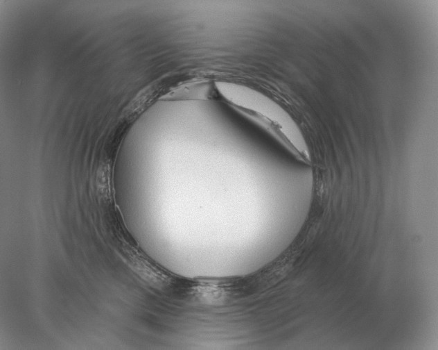 X0000078010425200611251508