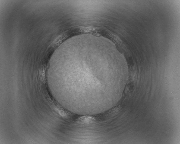 X0000078010427200611251508
