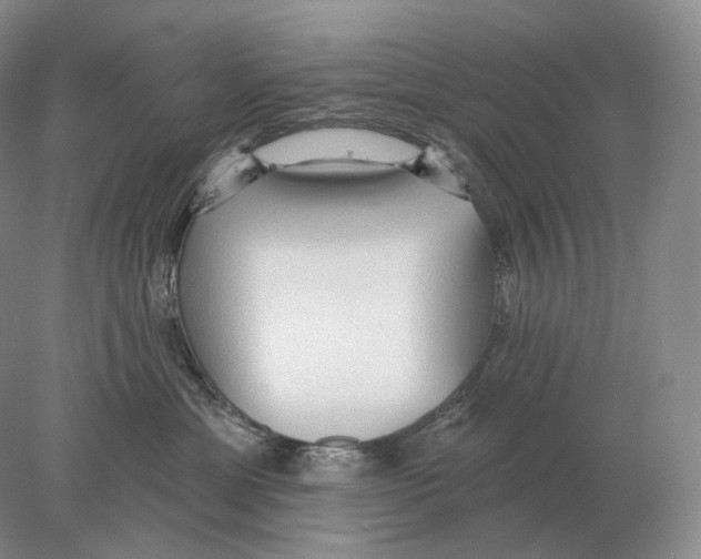X0000078010429200611251508